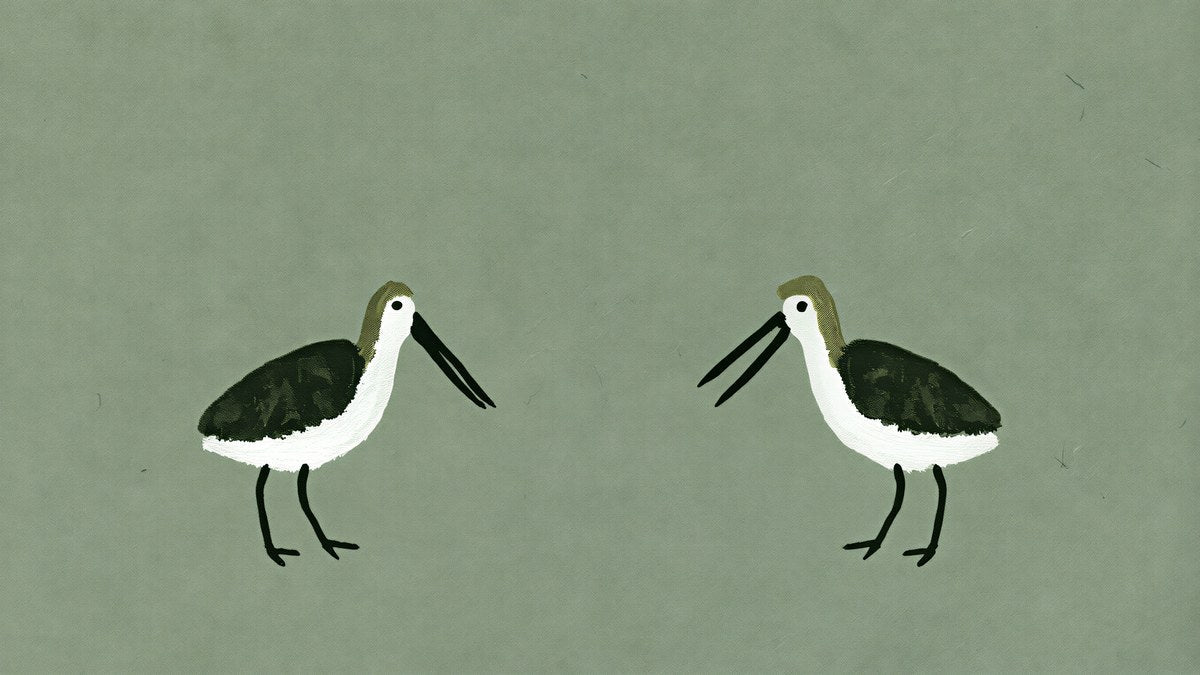 Minimalist Frame TV Art