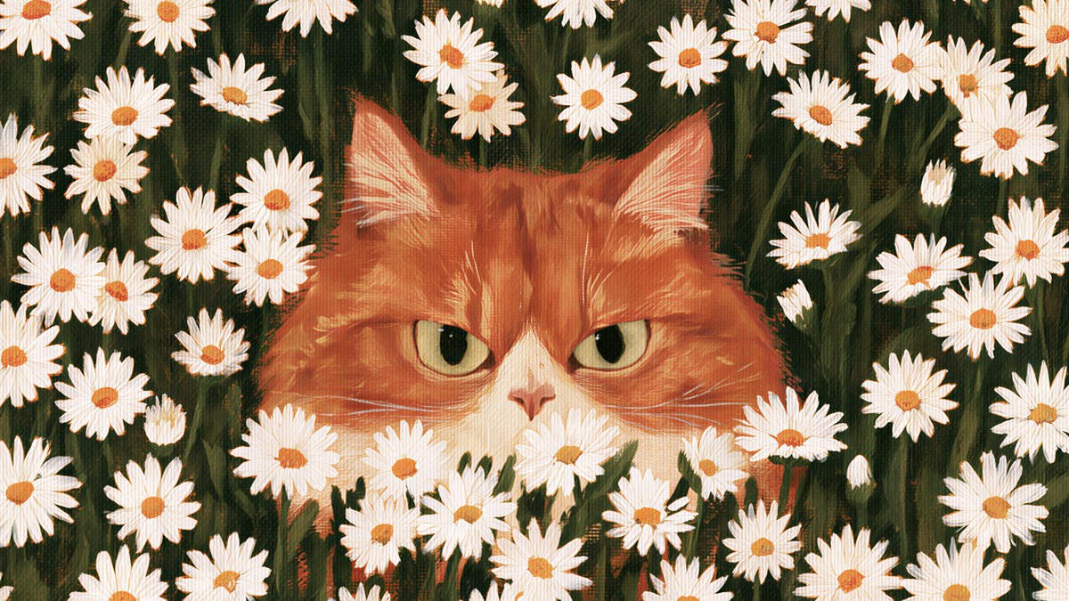 Cat Frame TV Art