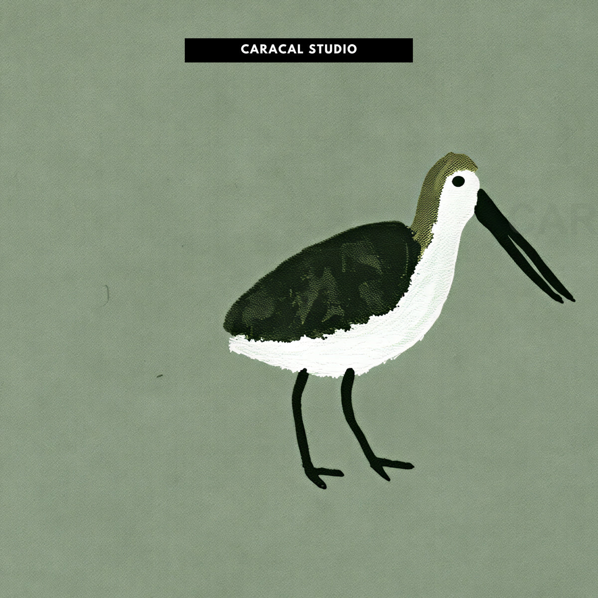 Close-up of the two shorebirds on sage green