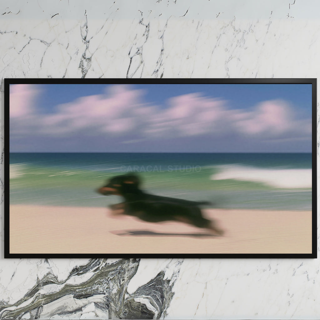Running beach dachshund art on a black TV on a white marble wall