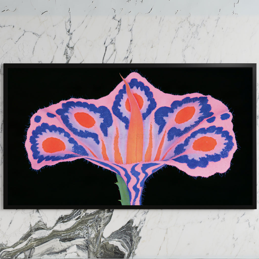 Surreal flower art on a black TV on a white marble wall