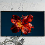 Red lily on navy art on a black TV on a white marble wall