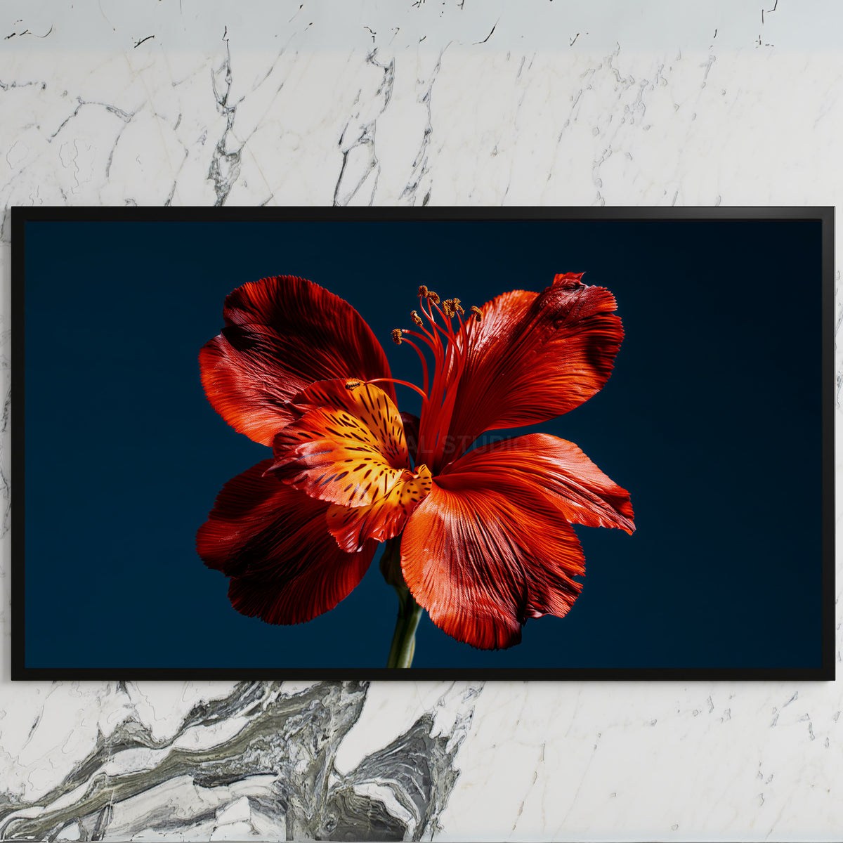 Red lily on navy art on a black TV on a white marble wall