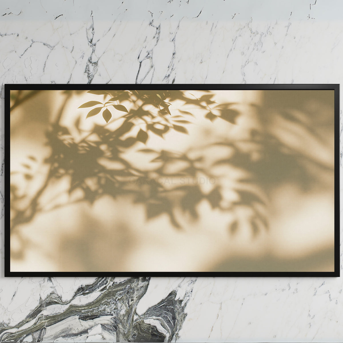 Leaf shadow art on a black TV on a white marble wall