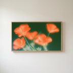 Blurred orange poppies Frame TV art in an oak frame on a warm white wall