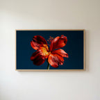 Red lily on navy Frame TV art in an oak frame on a warm white wall
