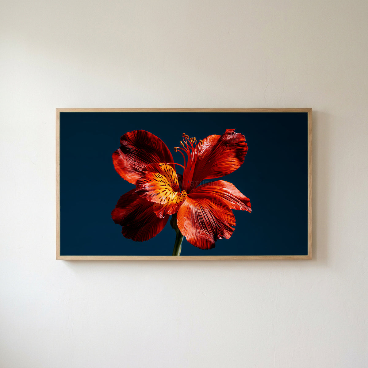 Red lily on navy Frame TV art in an oak frame on a warm white wall