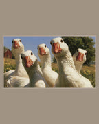 Video of the Curious Farm Geese Frame TV art in a room