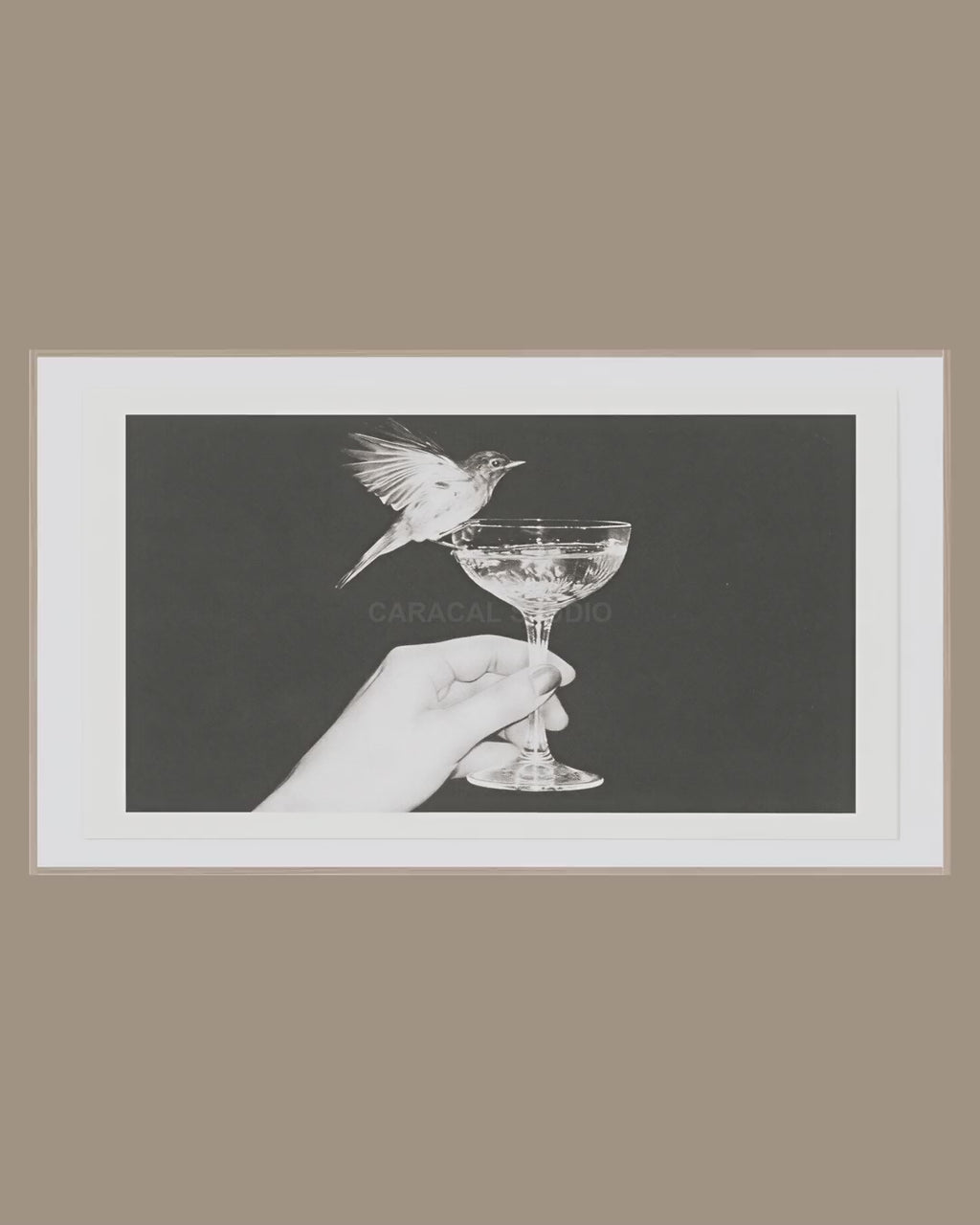 Video of the Bird on Champagne Coupe Frame TV art in a room