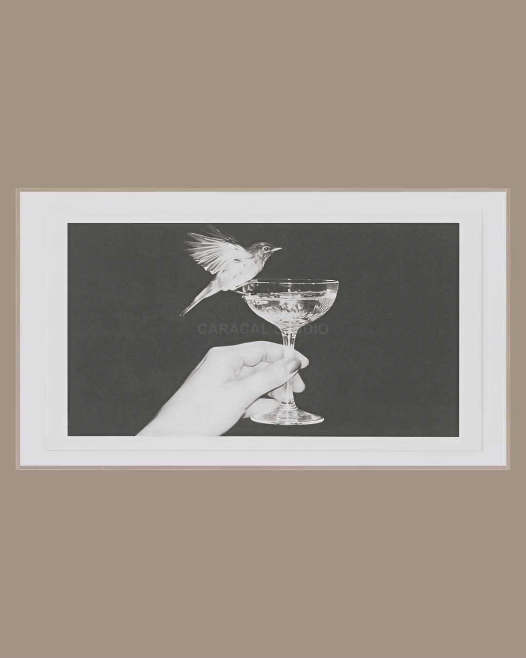Video of the Bird on Champagne Coupe Frame TV art in a room