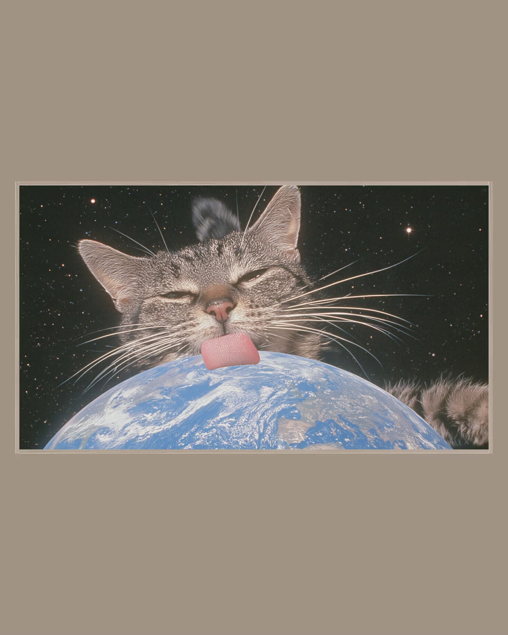 Video of the Cat Licking Earth Frame TV art in a room