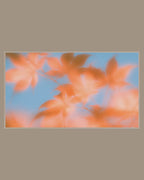 Video of the Blurred Autumn Leaves Frame TV art in a room