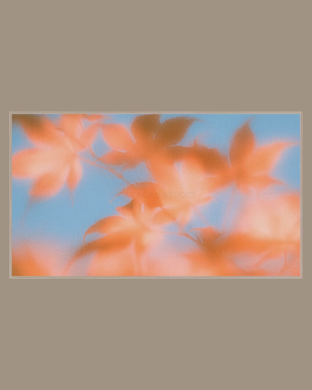 Video of the Blurred Autumn Leaves Frame TV art in a room