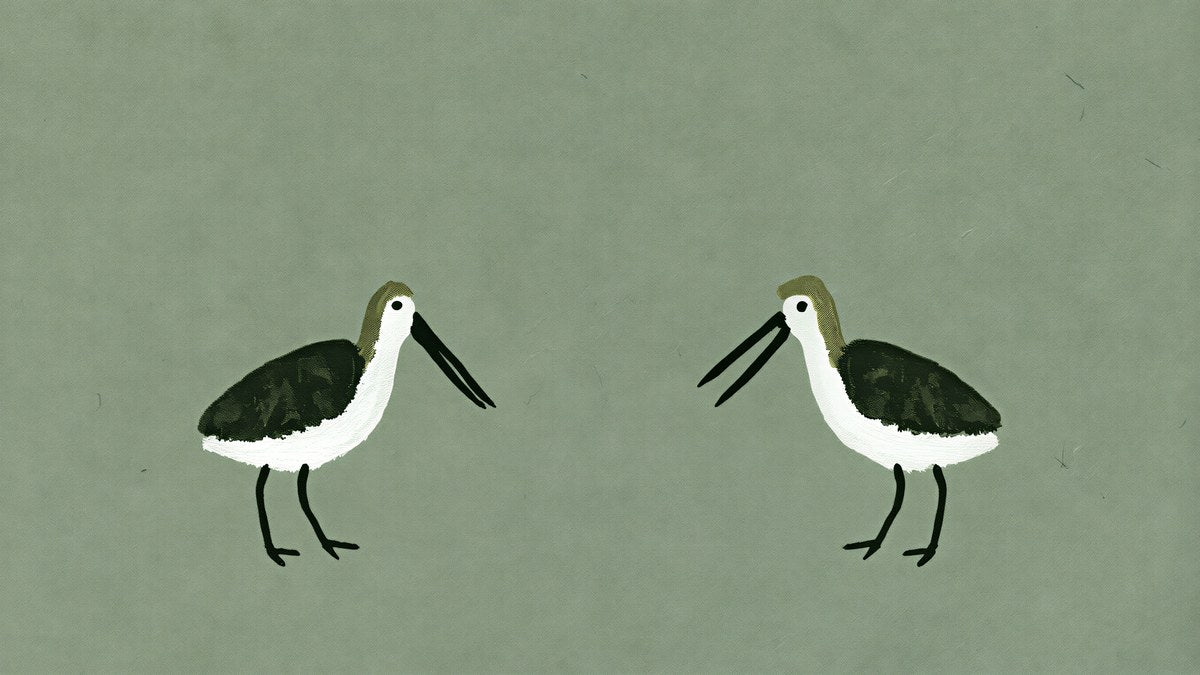 Sage Shorebirds artwork