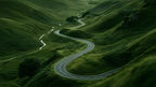 Winding Road Green Hills artwork