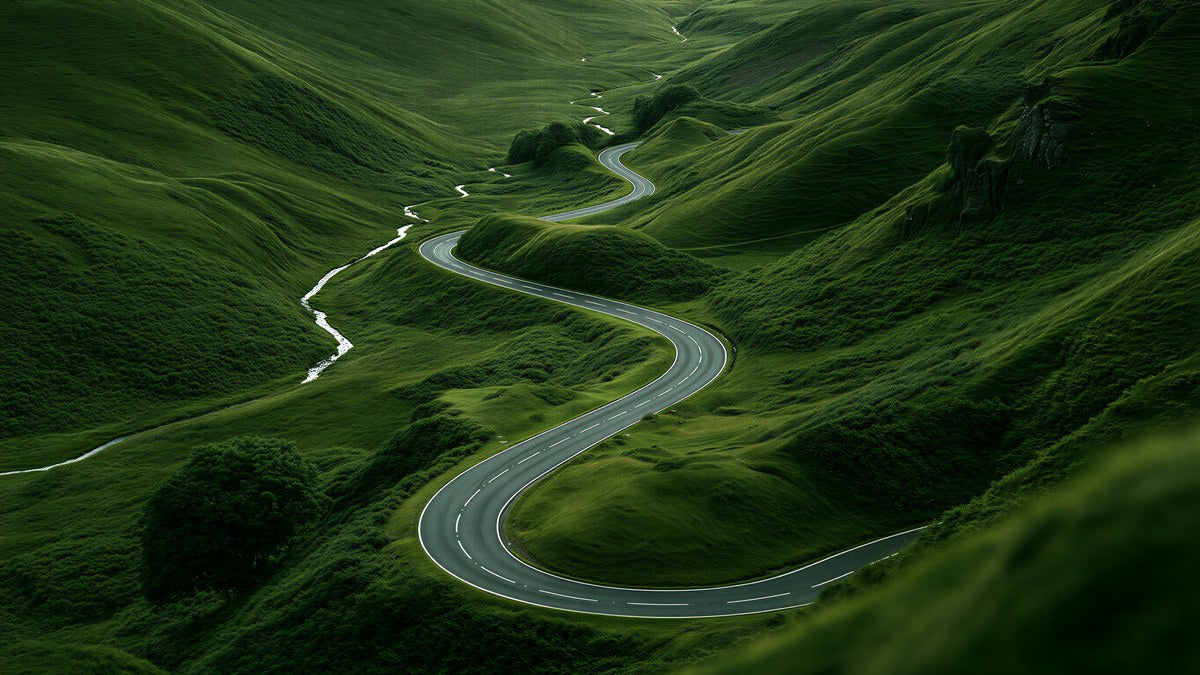 Winding Road Green Hills artwork