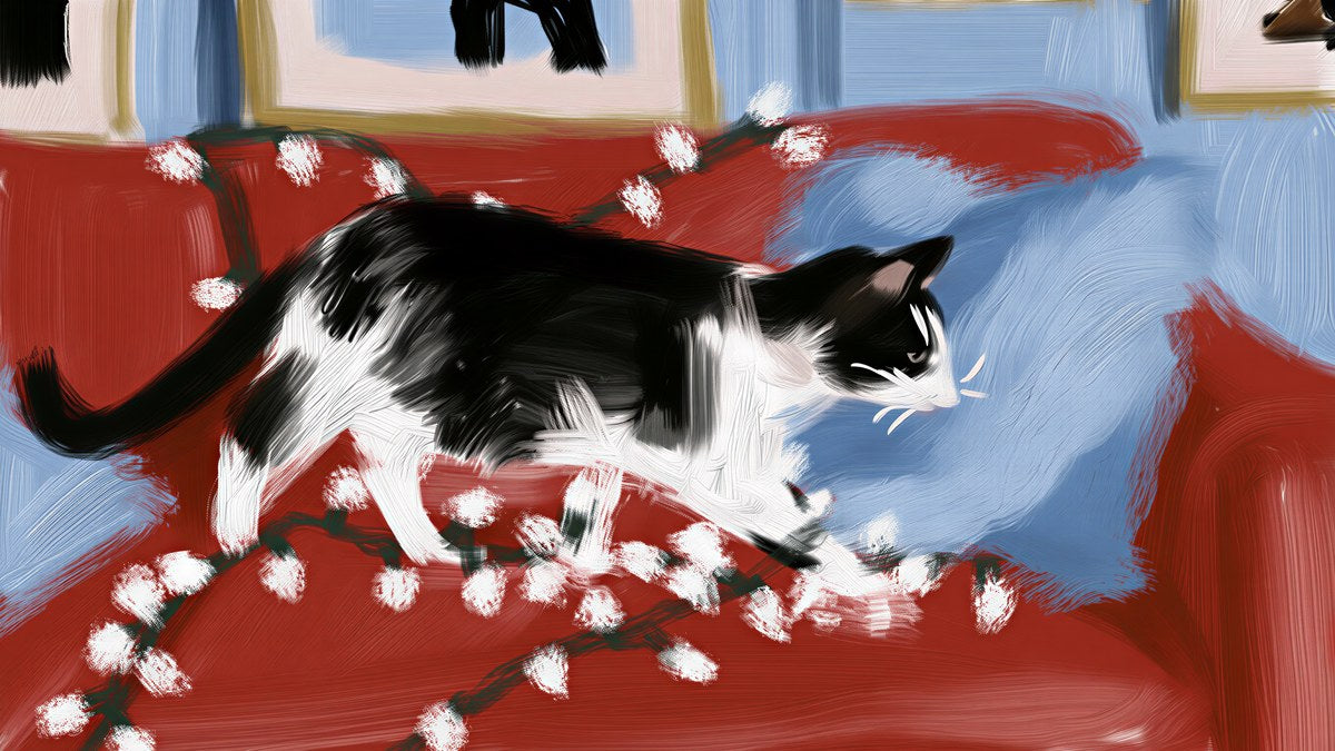 String Light Sofa Cat artwork