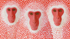 Polka Dot Snow Monkeys artwork