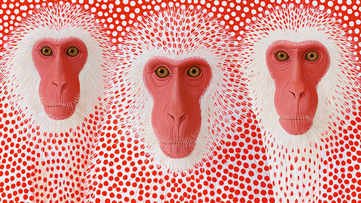 Polka Dot Snow Monkeys artwork