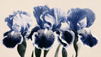 Three Blue Irises artwork