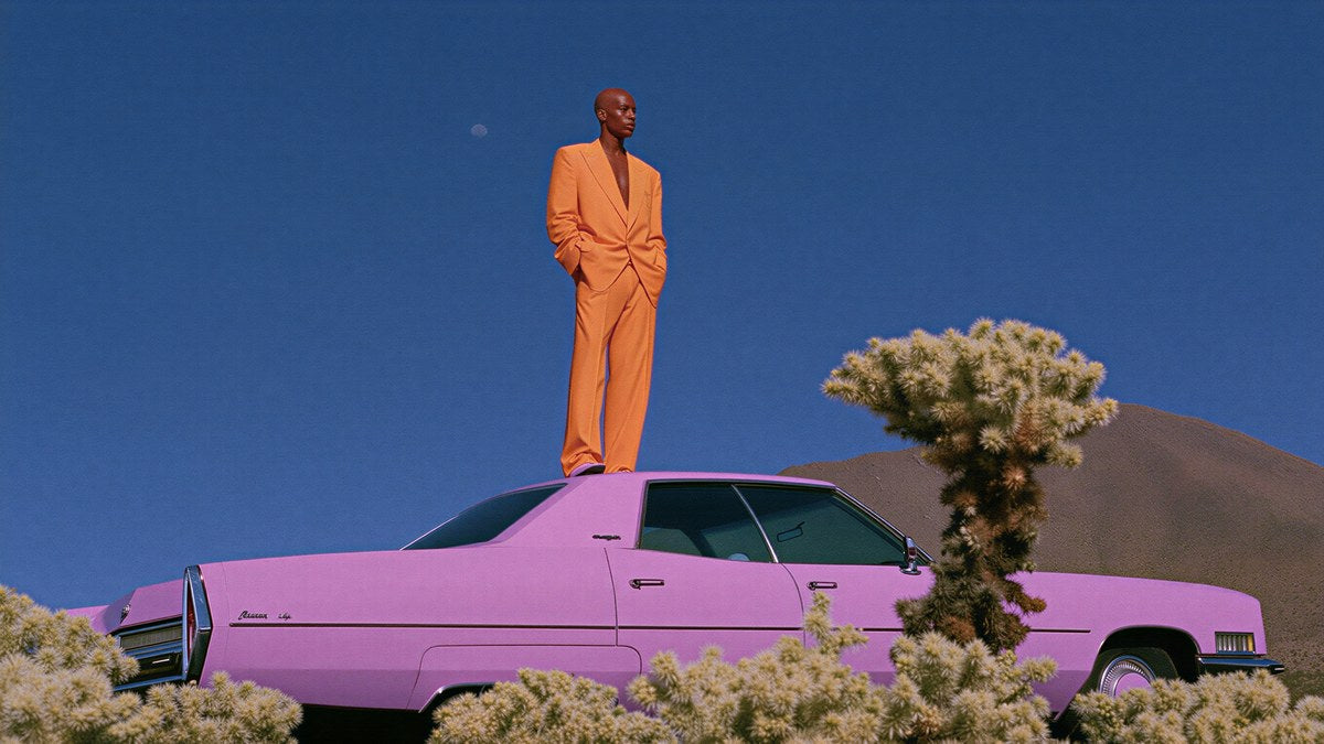 Pink Car Desert Pose artwork