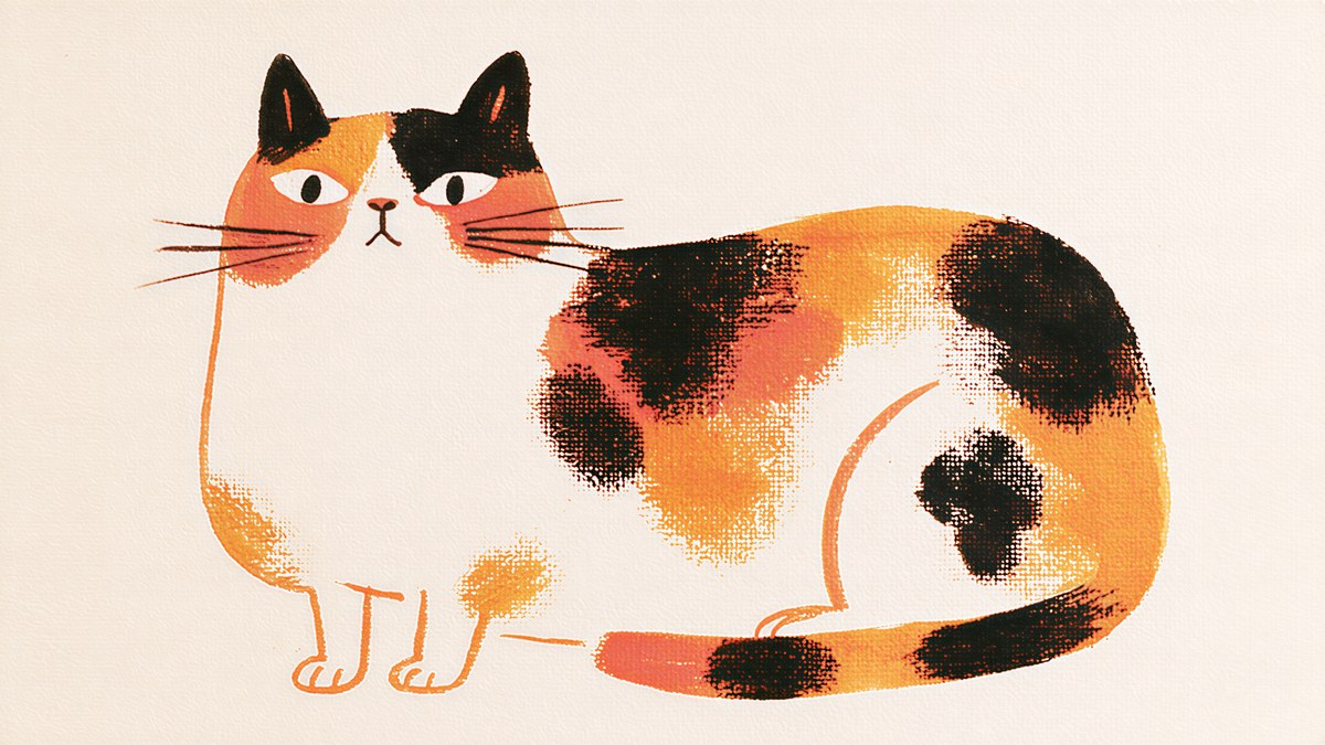 Chubby Calico Cat artwork