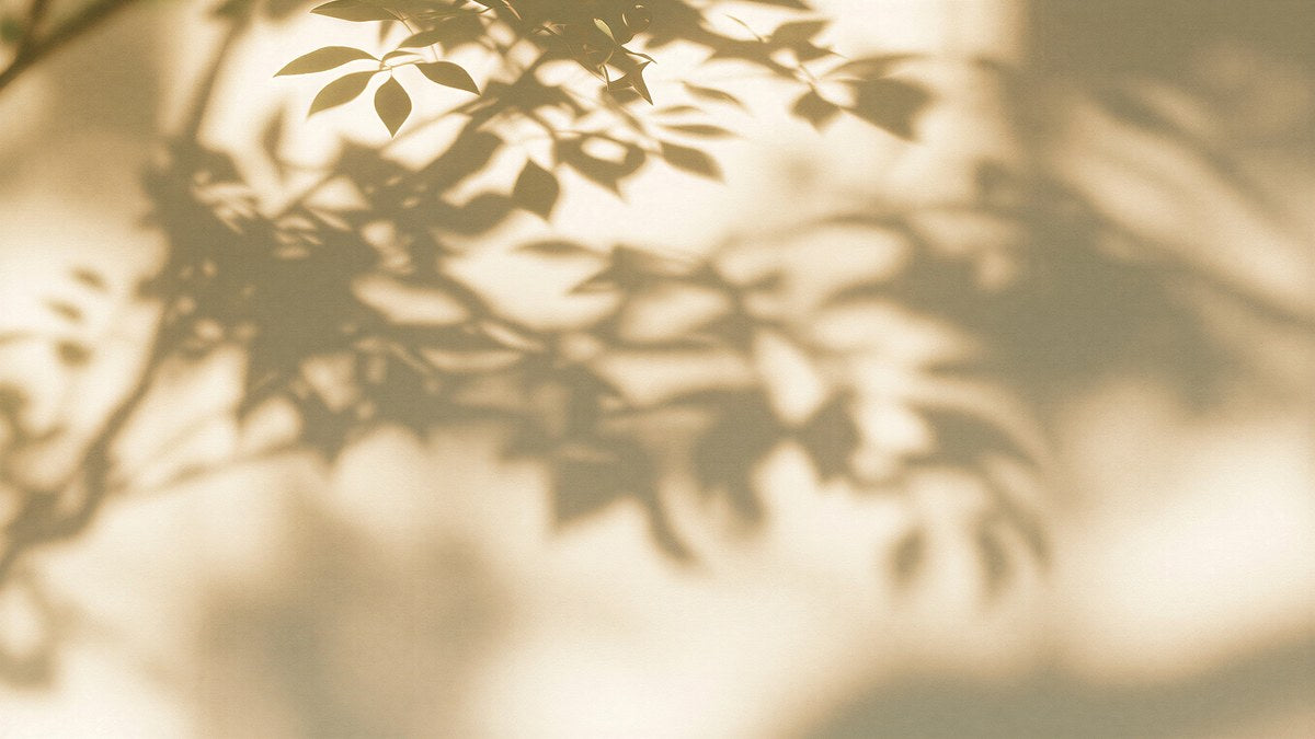 Leaf Shadows in Sunlight artwork