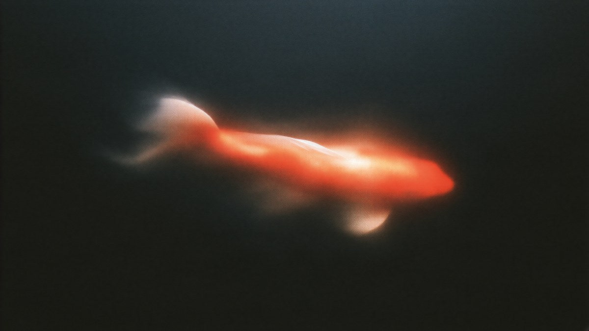 Glowing Koi at Night artwork