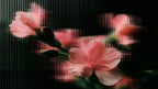 Flowers Behind Ribbed Glass artwork