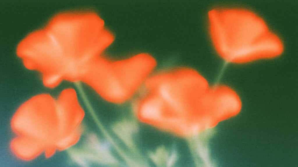Soft Focus Poppies artwork