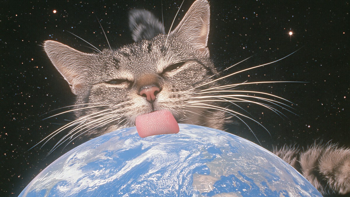 Cat Licking Earth artwork