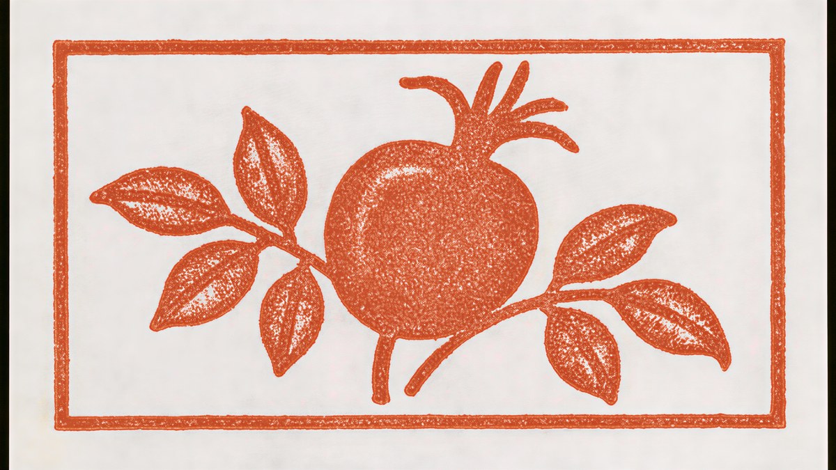 Pomegranate Stamp artwork