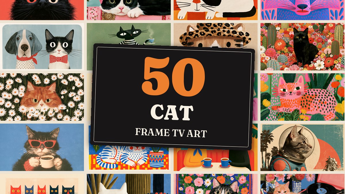 Cat Bundle of 50 cover artwork