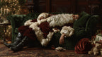 Santa Velvet Nap artwork