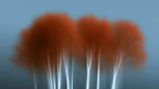 Blurred Autumn Birches artwork