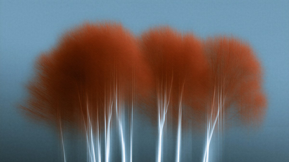 Blurred Autumn Birches artwork