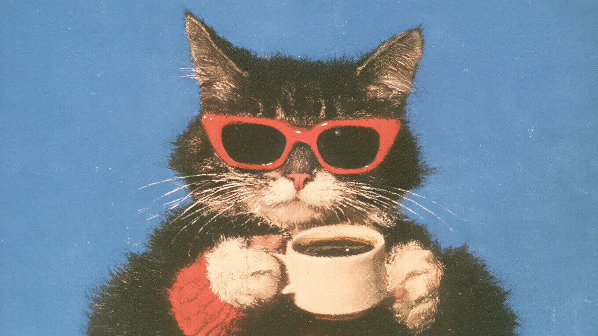 Red Shades Coffee Cat artwork