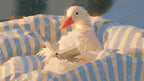 Bedtime Reading Duck artwork