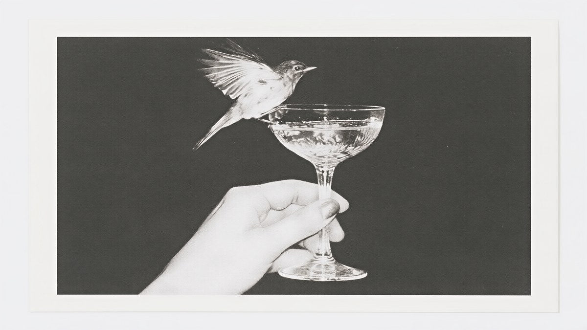 Bird on Champagne Coupe artwork