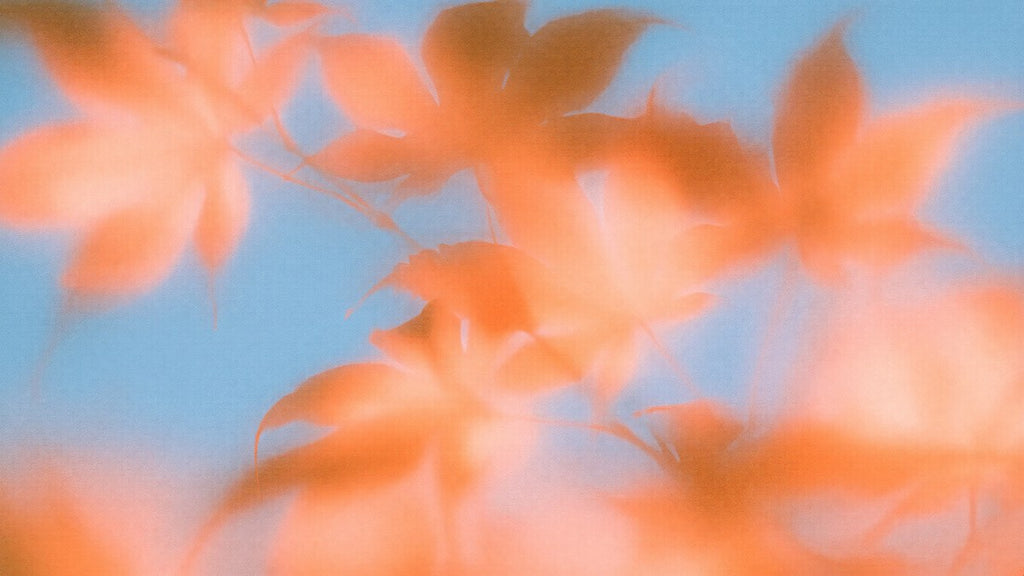Blurred Autumn Leaves artwork