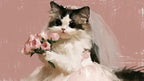 Cat Bride with Roses artwork