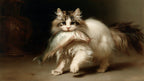 Kitten and Big Fish artwork