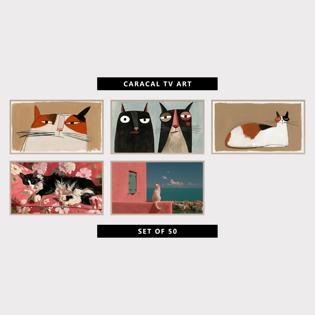 5 cat TV artworks: modern Side Eye Calico Cat Face, modern Naive Black Cat & Tuxedo Cat, minimalist Calico Cat, impressionist Tuxedo Cat & Pink Florals, retro White Cat by the Sea, Pink Wall & Mediterranean Village